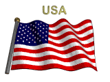 2010 flag